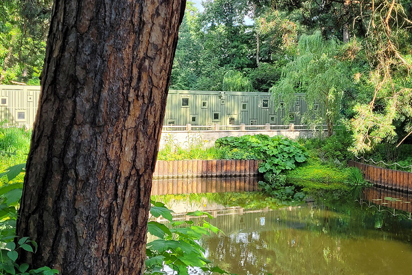 19_x